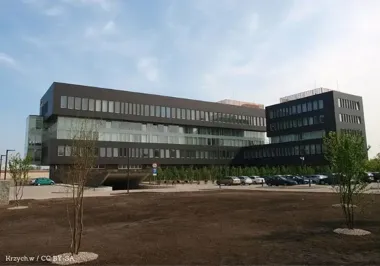 2248 prób RKO w pół godziny. Uczniowie z Bełchatowa ćwiczyli ratowanie życia