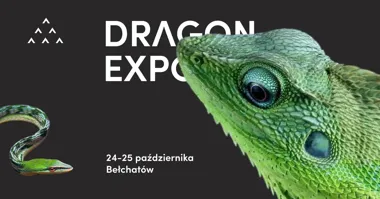 Dragon Expo Bełchatów: egzotyka i przyroda
